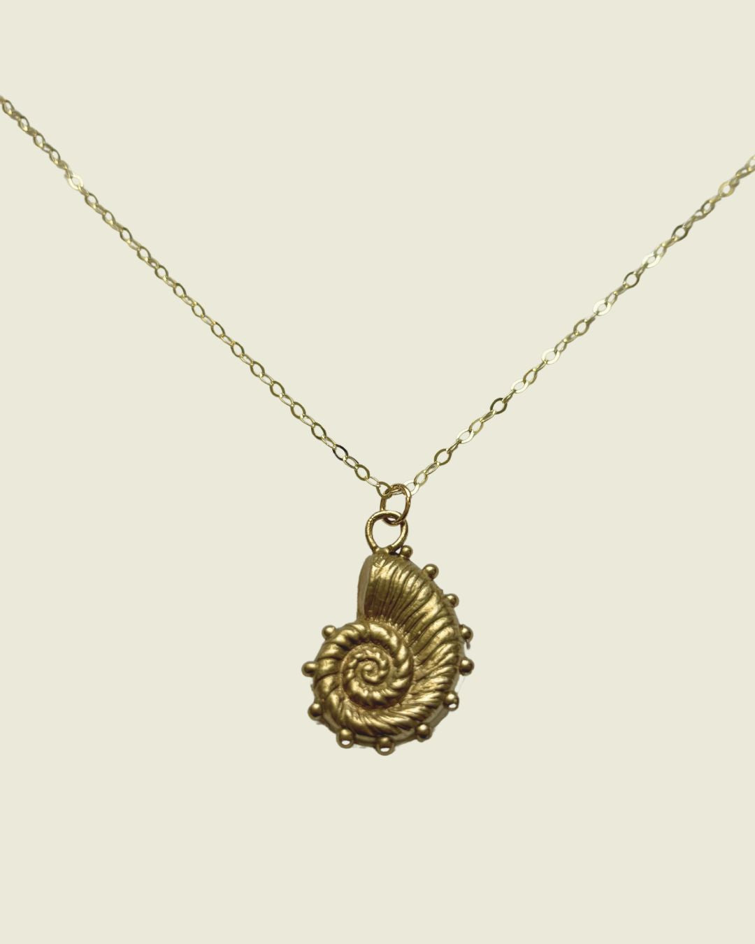 Nautilus
