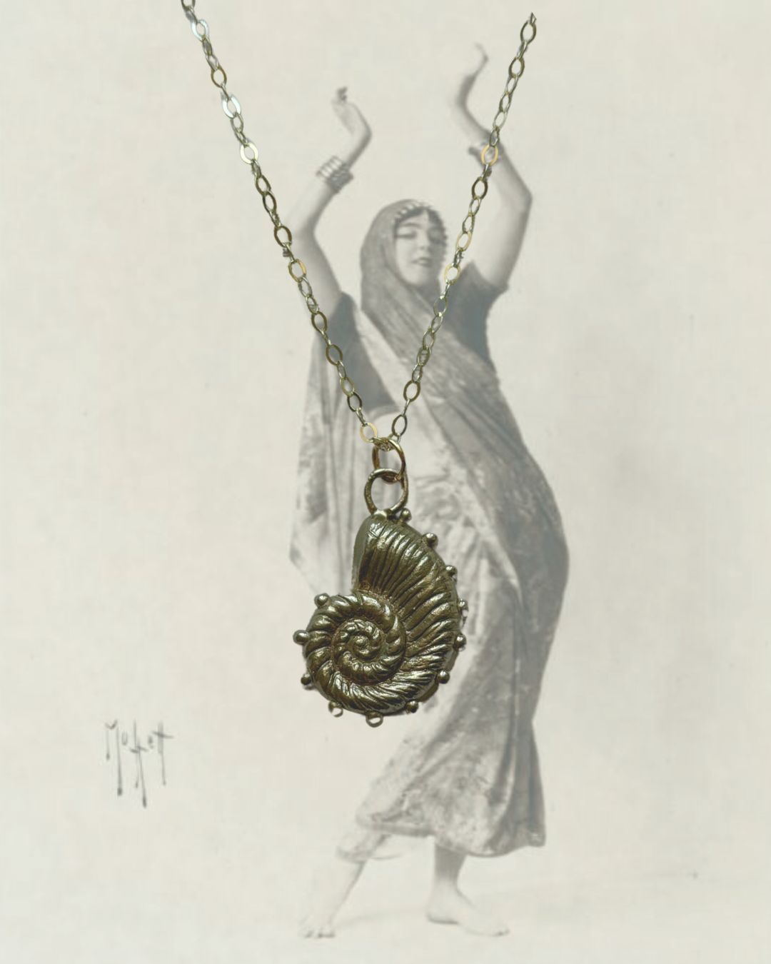 Nautilus